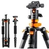 Stovas - K&amp;F Concept SA225C1 2-in-1 140cm 4kg Apkrova