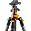 Stovas - K&amp;F Concept SA225C1 2-in-1 140cm 4kg Apkrova