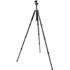 Stovas - MITOYA MTY222 50-180cm 5kg Apkrova