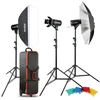 Studijinės blykstės rinkinys - Godox Studio Kit E250 D