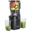 Sulčiaspaudė AMZCHEF SJ-036CBK Slow Juicer (Juodas)