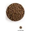 Acana Grass-Fed Lamb Dog sausas maistas šunims su ėriena 11,4 kg