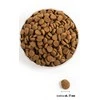 ACANA Dog Adult Didelės veislės 11,4kg