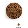 ACANA Adult Dog 11,4kg