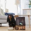 Šunų maistas - ADDVENA Boosted by Superfoods Suaugusiųjų Mažų Veislių Jautiena Sausas 10kg
