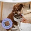 Šunų maistas - ADDVENA Junior Medium/Large jautiena 28.1% Protein Grain-Free 10kg