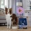 Šunų maistas - ADDVENA Power of Nature Adult Sensitive Medium/Large ėriena 10kg