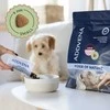 Šunų maistas - ADDVENA Power of Nature Junior Small ėriena 10kg Grain-Free
