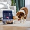 Šunų maistas - ADDVENA Power of Nature Junior Medium/Large ėriena 2.5kg