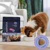 Šunų maistas - ADDVENA Power of Nature Junior Medium/Large ėriena 10kg