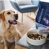 Šunų maistas - ADDVENA Power of Nature Senior Medium/Large ėriena 10kg