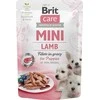 Šunų Maistas - Brit Care Mini Puppy Aviena 85 g