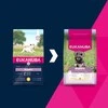 Šunų maistas - EUKANUBA Puppy Small sausas šunų ėdalas su vištiena, 33% baltymų, 21% riebalų, 3kg
