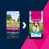 Šunų Maistas - EUKANUBA Suaugusiųjų Mažų/vidutinių Veislių Lašiša ir Miežiai 12kg