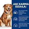 Šunų Maistas - Hill's Derm Complete 370g