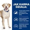 Šunų Maistas - Hill's PD D/D Jautrumas Maistui, Antis Ir Ryžiai - Sausas 4kg