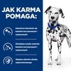 HILL'S Prescription Diet Urinary Care Original - šlapias šunų maistas - 370g
