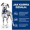 HILL'S Prescription Diet Urinary Care Original - šlapias šunų maistas - 370g