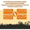 PUPIL Premium Light&Senior Medium and large breeds Rich in kalakutiena ir ryžiai – sausas Maistas šunims – 12kg