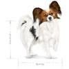 ROYAL CANIN Xsmall adult 1.5kg, labai mažų veislių suaugusių šunų sausas pašaras