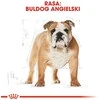 Royal Canin BHN Bulldog Adult 12kg