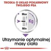 Šunų Maistas - Royal Canin Ccn Sterilised Loaf 12x85g