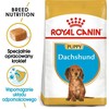 ROYAL CANIN Dachshund junior 1.5kg, taksų veislės jaunų šunų sausas pašaras