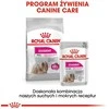 CCN Dog Exigent Loaf 12x85 g