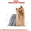 Royal Canin BHN Yorkshire Terrier Adult konservai 12x85g