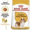 Šunų Maistas - Royal Canin Kavalierius K 1,5 Kg