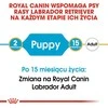 Royal Canin Labrador Retriever Junior 12kg