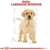 Royal Canin Labrador Retriever Junior 12kg