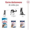 ROYAL CANIN SHN Maxi Ageing Loaf konservas šunims, 410 g