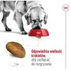 Royal Canin Maxi Adult 15kg