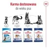 Royal Canin Maxi Adult 15kg