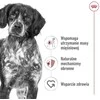 ROYAL CANIN SHN konservuotas sausas maistas suaugusiems vidutinio dydžio šunims, 410 g