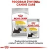 ROYAL CANIN CCN MINI DERMA 3kg, mažų veislių, suaugusių, jautrią odą turinčių šunų sausas pašaras