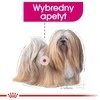 CCN Dog Exigent Mini 3kg