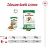 Šunų Maistas - Royal Canin Mini Senėjimas 12+ 12x85g