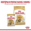 ROYAL CANIN BHN Shih Tzu Adult pašteto pavidalu - šlapias ėdalas suaugusiems šunims - 12 x 85 g