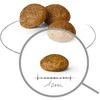 Royal Canin X Small Adult Sausas Maistas šunims, 500g