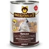 WOLFSBLUT VetLine Gastrointestinal antiena – drėgnas ėdalas šunims – 395g