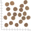 Wolfsblut - Svorio valdymas 12 kg. - (wb130)