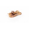 BULT Duck feet - dog treat - 100g