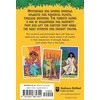 Taro Kortos Mystical Forest Andrews Mcmeel Publishing