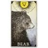 Taro Kortos The Wild Unknown Pocket Animal Spirit Harper One