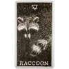 Taro Kortos The Wild Unknown Pocket Animal Spirit Harper One