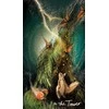 Tarot Kortos Light Seer Pocket Hay House