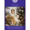 Fairy Tarot kortos Hay House