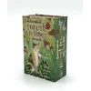 Taro kortų rinkinys - Llewellyn Enchanted Forest Felines 78 Kortos 13x8x4.5 cm